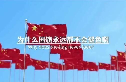 小犀牛救援